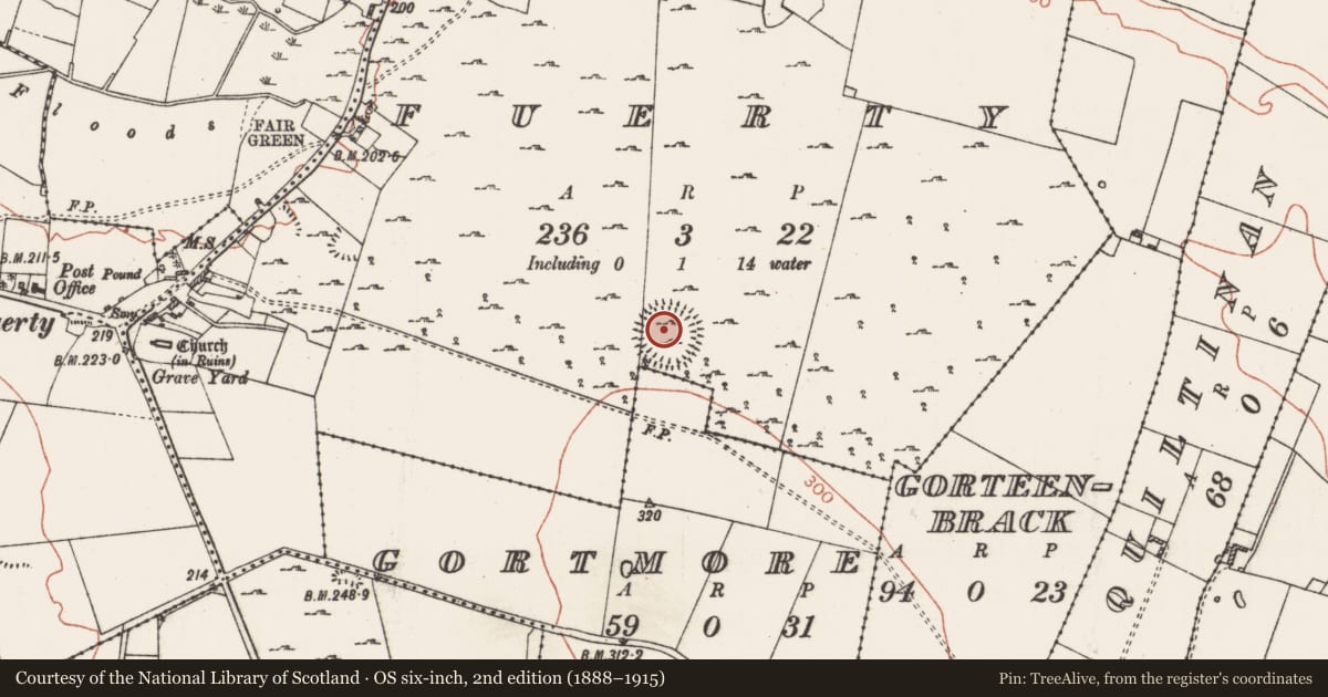 Ordnance Survey six-inch map, 2nd edition (1888–1915) covering the location of Enclosure - large enclosure, Fuerty, County Roscommon, with a pin at the register's coordinates