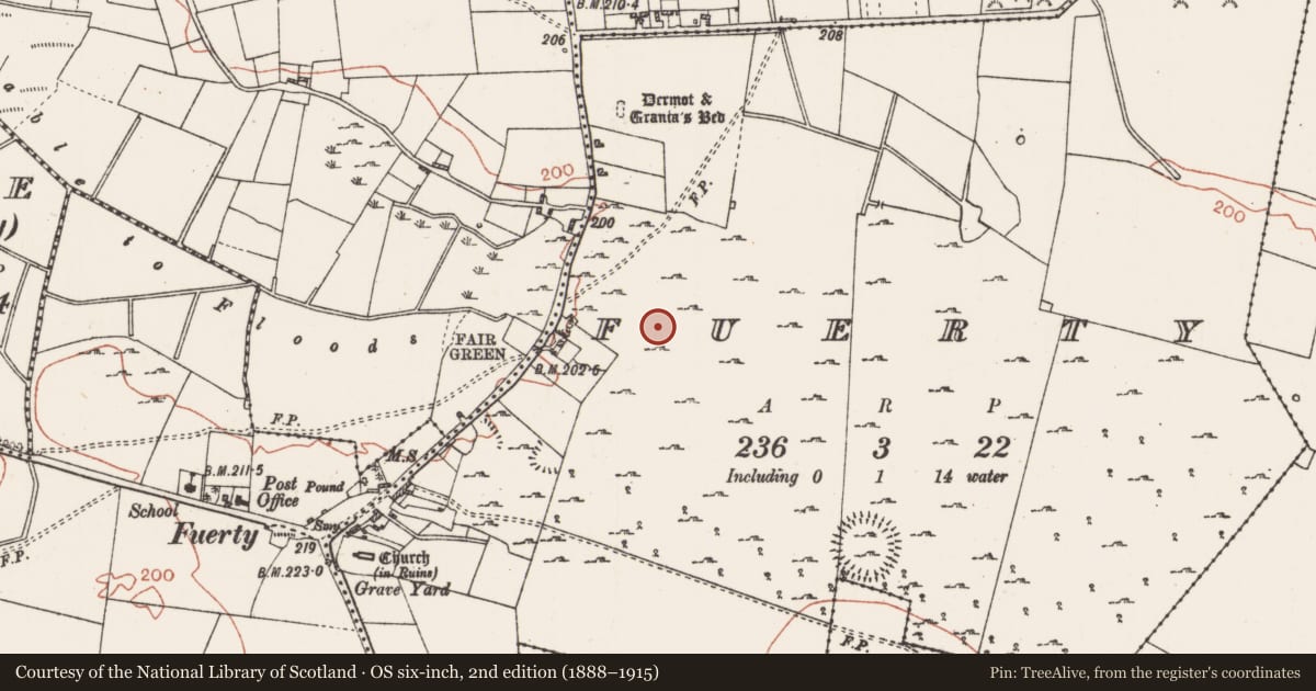 Ordnance Survey six-inch map, 2nd edition (1888–1915) covering the location of House - indeterminate date, Fuerty, County Roscommon, with a pin at the register's coordinates