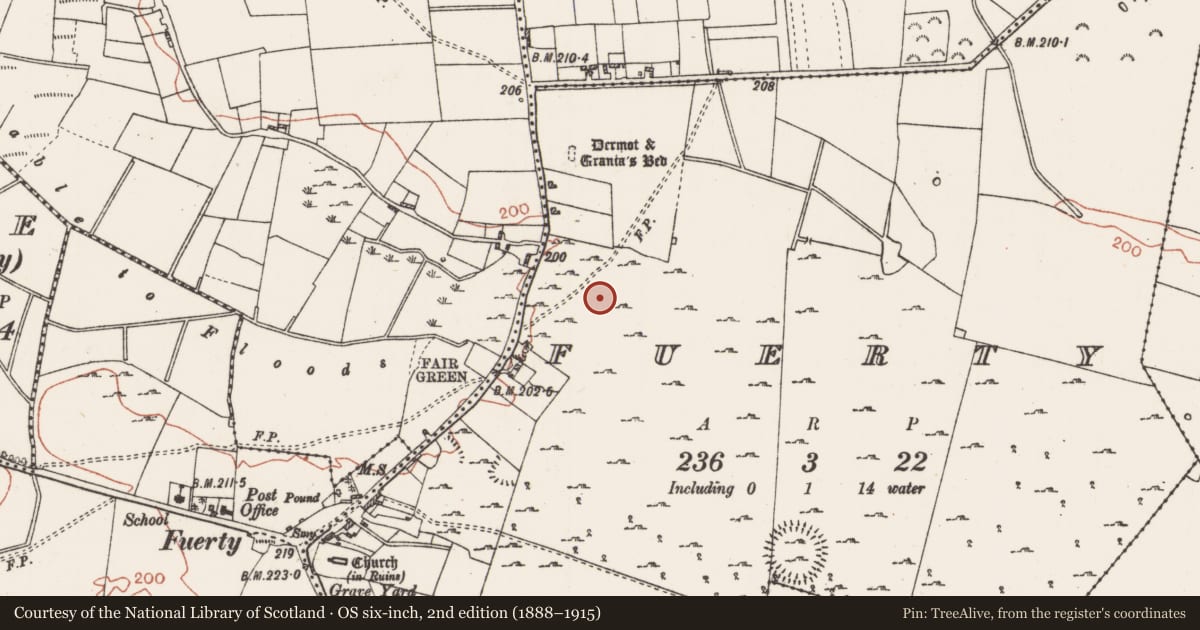 Ordnance Survey six-inch map, 2nd edition (1888–1915) covering the location of Road - road/trackway, Fuerty, County Roscommon, with a pin at the register's coordinates