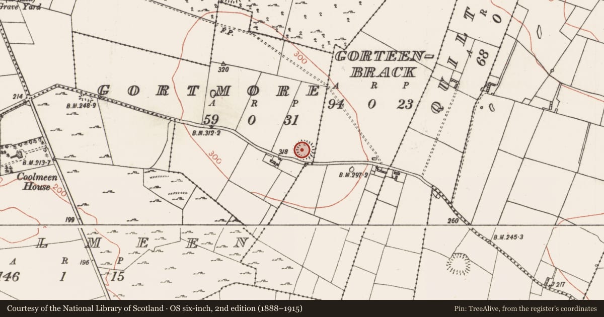 Ordnance Survey six-inch map, 2nd edition (1888–1915) covering the location of Ringfort - rath, Gortmore, County Roscommon, with a pin at the register's coordinates
