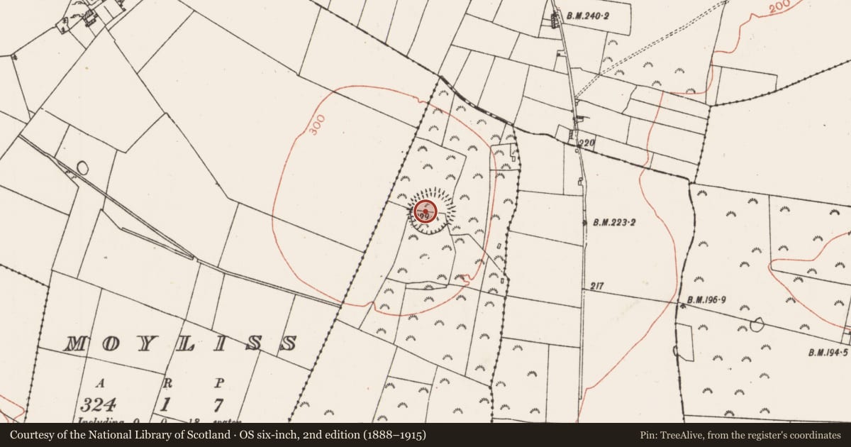 Ordnance Survey six-inch map, 2nd edition (1888–1915) covering the location of Hilltop enclosure, Carrowkeel, County Roscommon, with a pin at the register's coordinates