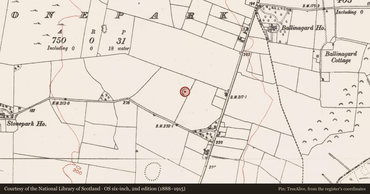 Ordnance Survey six-inch map, 2nd edition (1888–1915) covering the location of Ringfort - rath, Stonepark, County Roscommon, with a pin at the register's coordinates