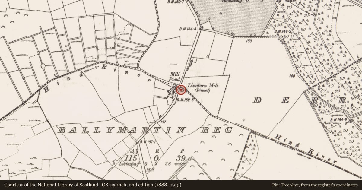 Ordnance Survey six-inch map, 2nd edition (1888–1915) covering the location of Mill - unclassified, Ballymartin Beg, County Roscommon, with a pin at the register's coordinates