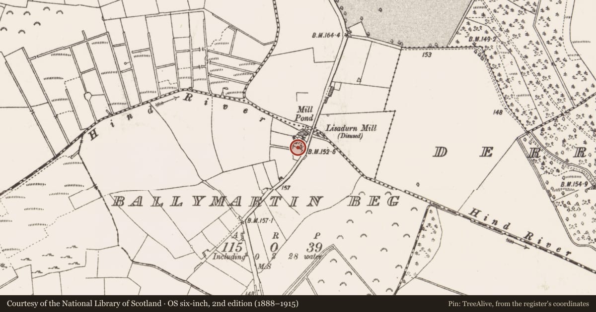 Ordnance Survey six-inch map, 2nd edition (1888–1915) covering the location of Architectural fragment, Ballymartin Beg, County Roscommon, with a pin at the register's coordinates