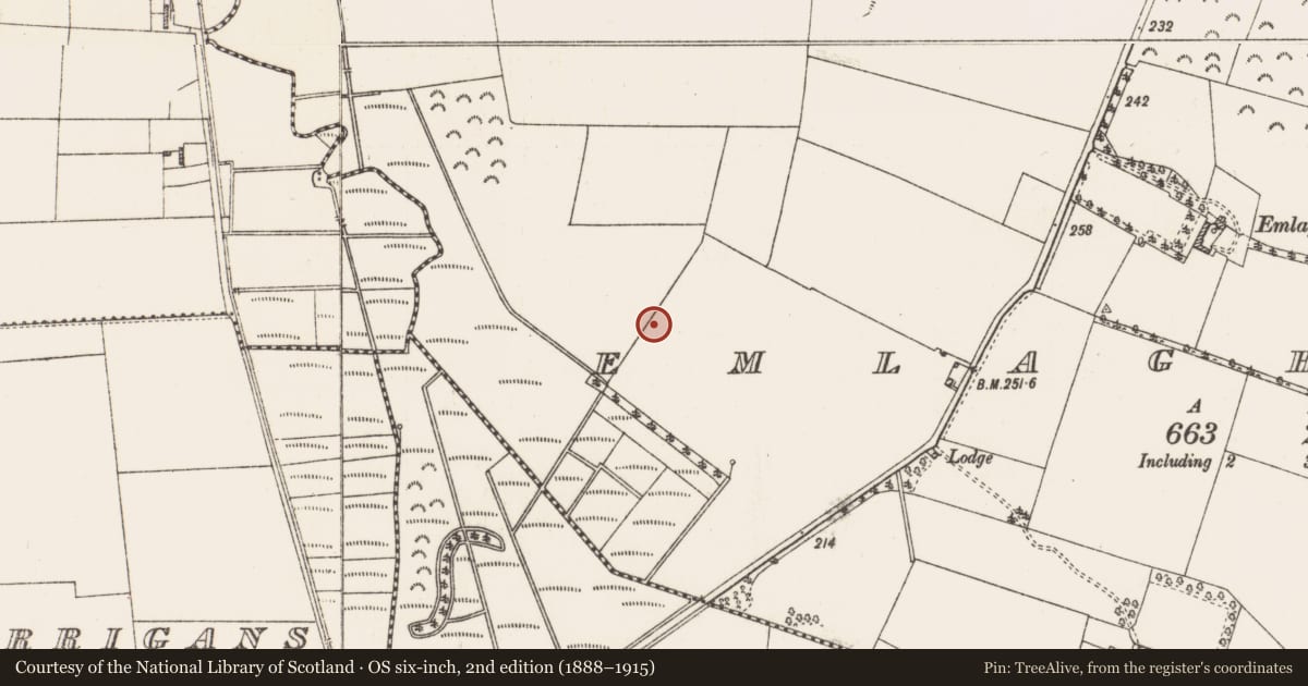 Ordnance Survey six-inch map, 2nd edition (1888–1915) covering the location of Graveyard, Emlagh More, County Roscommon, with a pin at the register's coordinates