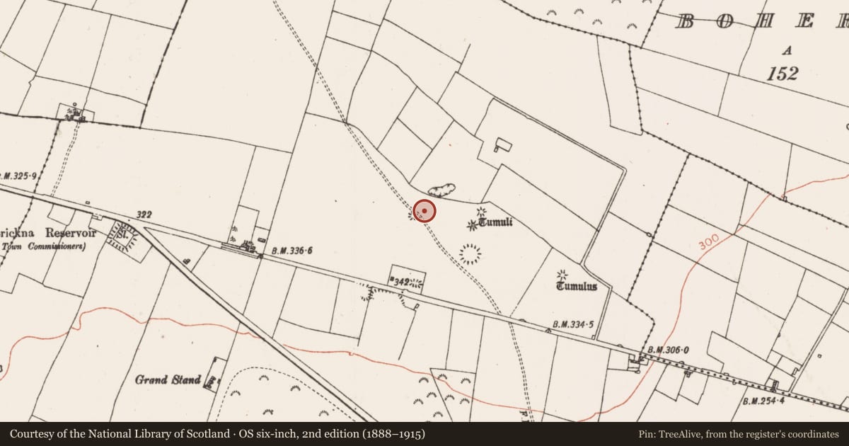 Ordnance Survey six-inch map, 2nd edition (1888–1915) covering the location of Enclosure, Carrownabrickna, County Roscommon, with a pin at the register's coordinates