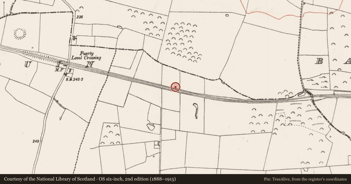 Ordnance Survey six-inch map, 2nd edition (1888–1915) covering the location of Ringfort - rath, Brackloon, County Roscommon, with a pin at the register's coordinates
