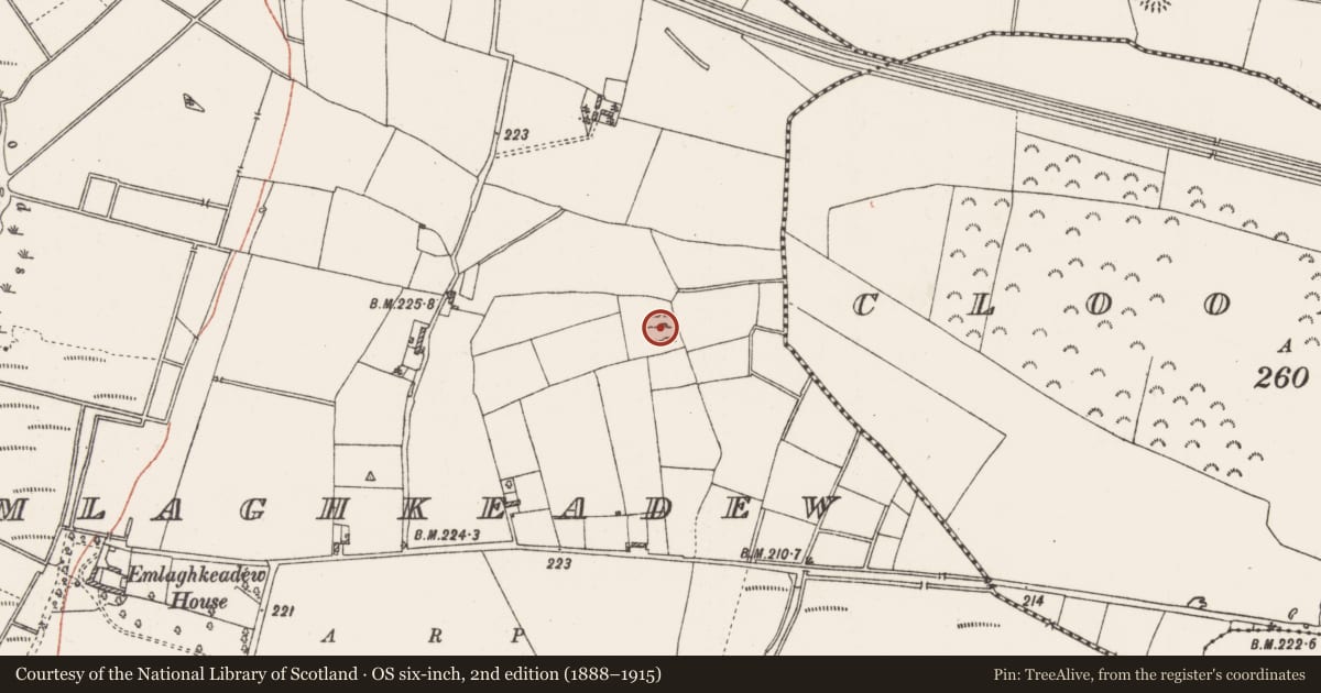 Ordnance Survey six-inch map, 2nd edition (1888–1915) covering the location of Ringfort - cashel, Emlaghkeadew, County Roscommon, with a pin at the register's coordinates