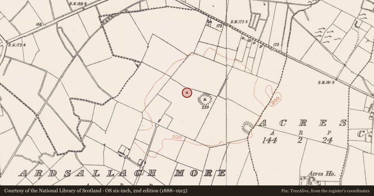 Ordnance Survey six-inch map, 2nd edition (1888–1915) covering the location of Ringfort - rath, Ardsallagh More, County Roscommon, with a pin at the register's coordinates