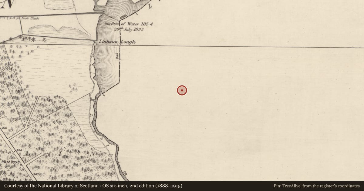 Ordnance Survey six-inch map, 2nd edition (1888–1915) covering the location of Ringfort - rath, Castlecoote, County Roscommon, with a pin at the register's coordinates