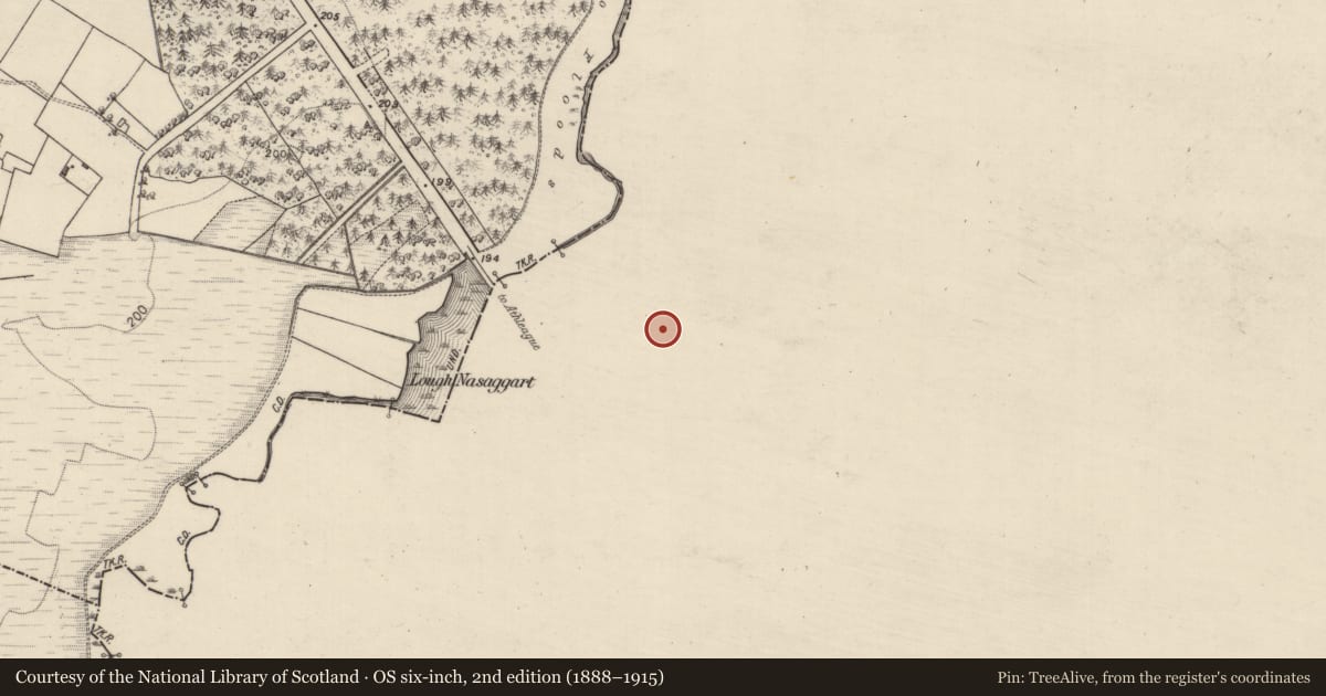 Ordnance Survey six-inch map, 2nd edition (1888–1915) covering the location of Fulacht fia, Castlecoote, County Roscommon, with a pin at the register's coordinates