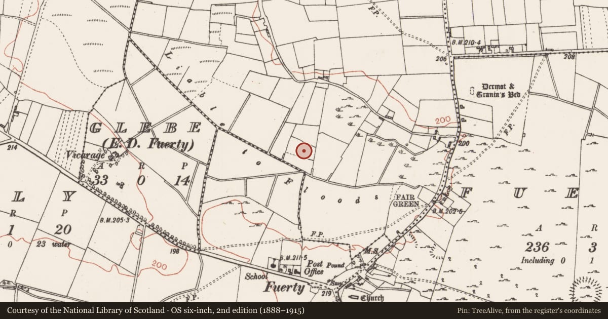 Ordnance Survey six-inch map, 2nd edition (1888–1915) covering the location of Ringfort - rath, Lissaneaville, County Roscommon, with a pin at the register's coordinates
