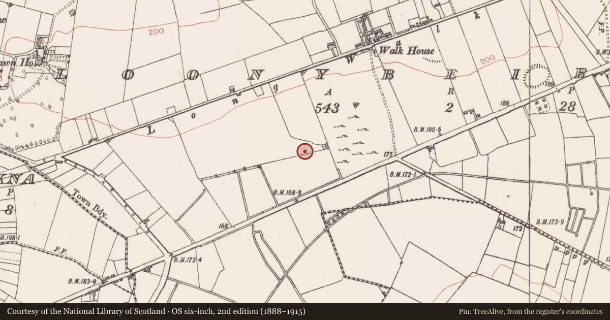 Ordnance Survey six-inch map, 2nd edition (1888–1915) covering the location of Fulacht fia, Cloonybeirne, County Roscommon, with a pin at the register's coordinates