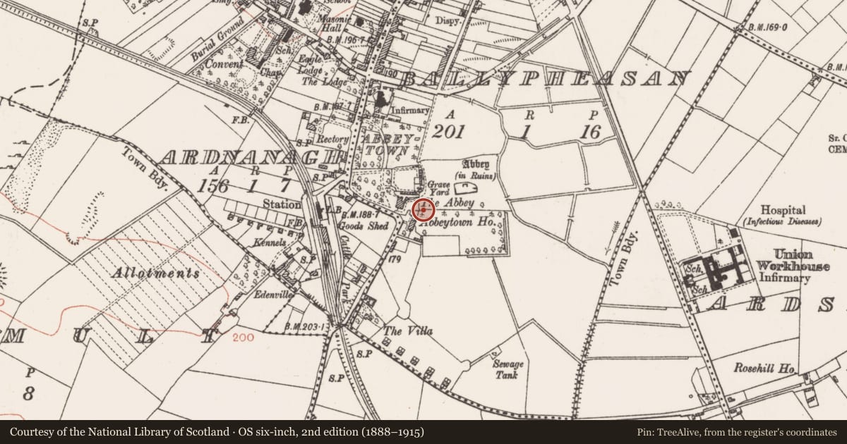 Ordnance Survey six-inch map, 2nd edition (1888–1915) covering the location of Architectural fragment, Ballypheasan, County Roscommon, with a pin at the register's coordinates