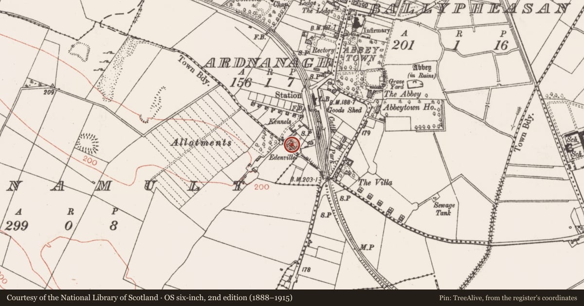 Ordnance Survey six-inch map, 2nd edition (1888–1915) covering the location of Fortification, Ardnanagh, County Roscommon, with a pin at the register's coordinates