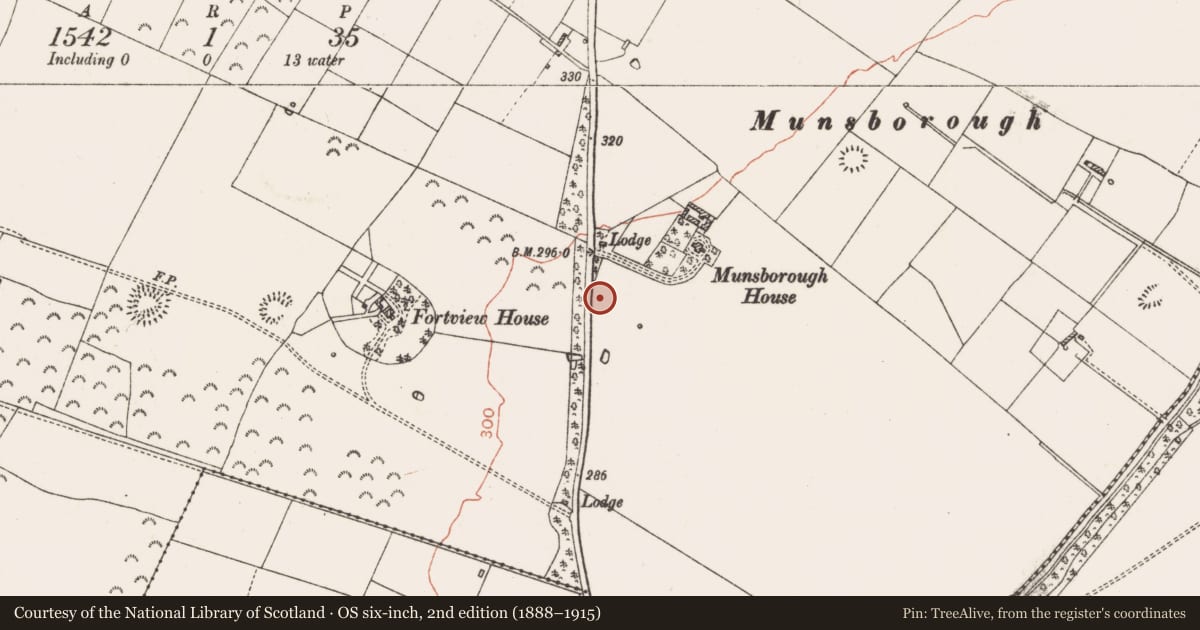 Ordnance Survey six-inch map, 2nd edition (1888–1915) covering the location of Burial, Mullymucks, County Roscommon, with a pin at the register's coordinates