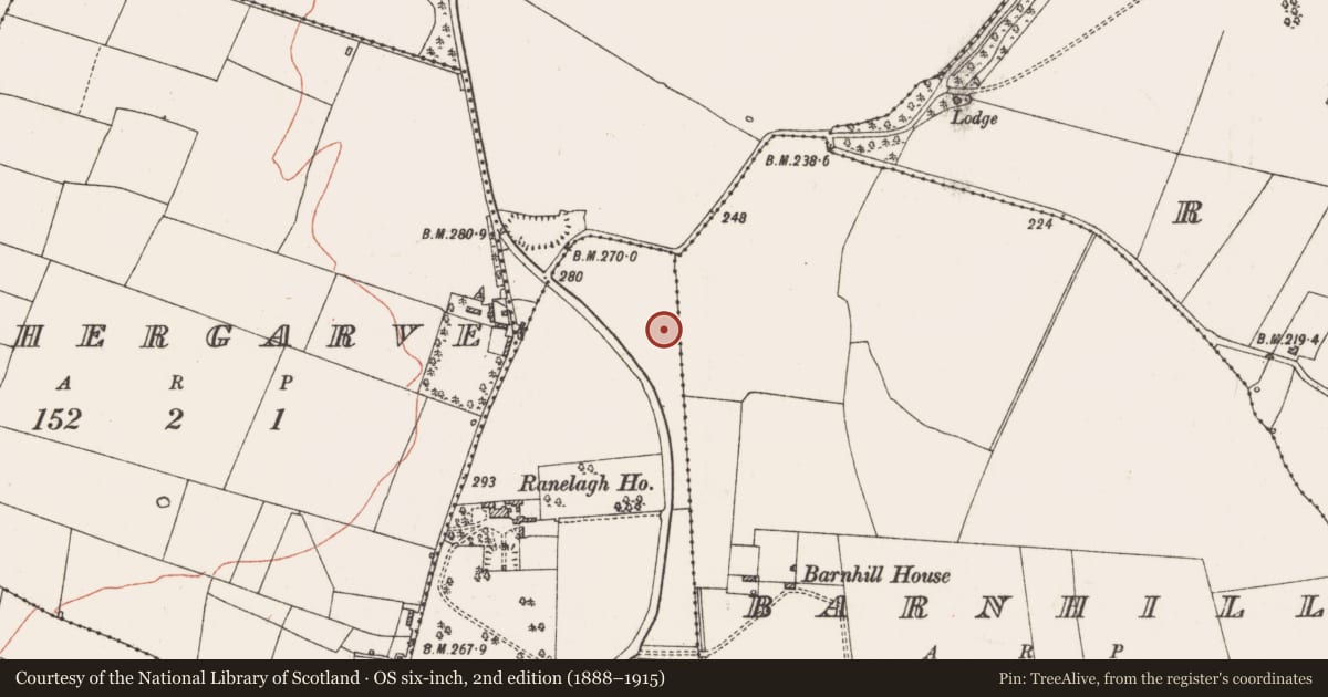 Ordnance Survey six-inch map, 2nd edition (1888–1915) covering the location of Burial ground, Ranelagh, County Roscommon, with a pin at the register's coordinates