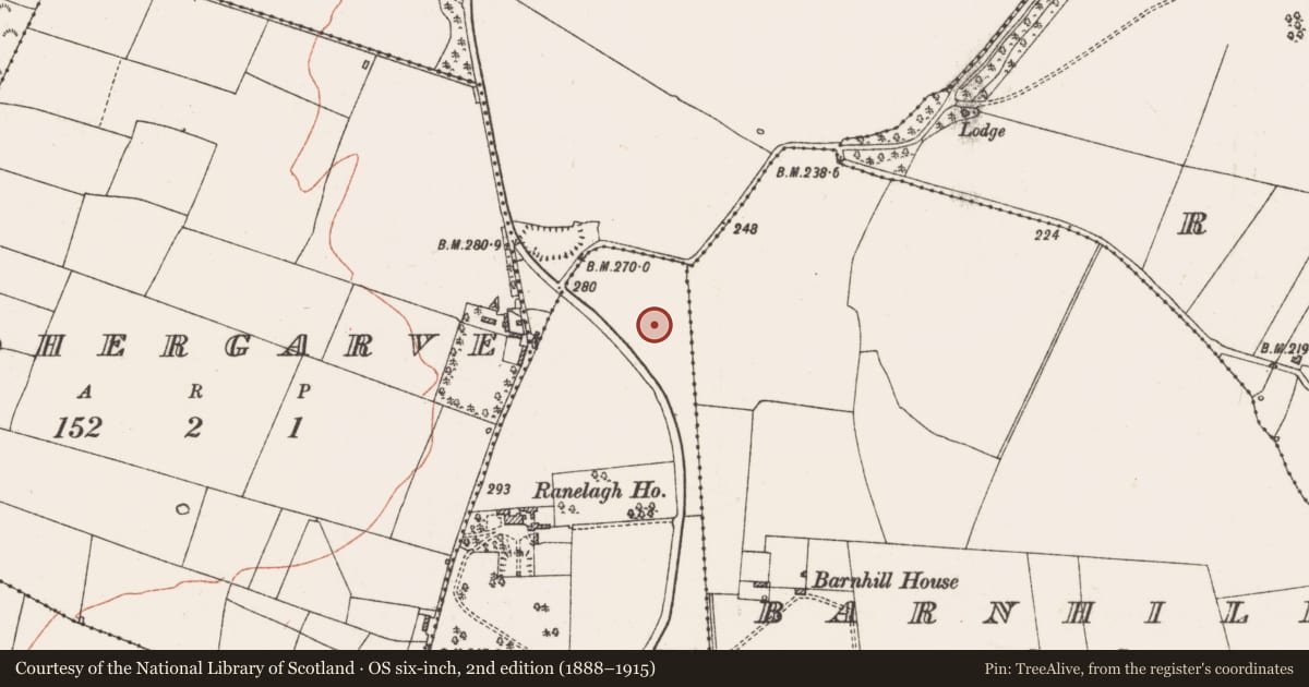 Ordnance Survey six-inch map, 2nd edition (1888–1915) covering the location of Kiln - corn-drying, Ranelagh, County Roscommon, with a pin at the register's coordinates