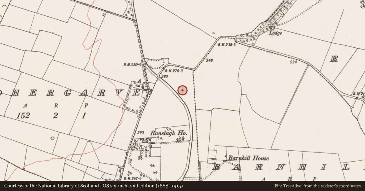 Ordnance Survey six-inch map, 2nd edition (1888–1915) covering the location of Habitation site, Ranelagh, County Roscommon, with a pin at the register's coordinates