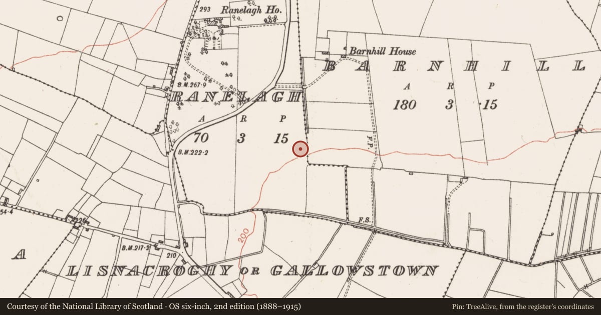 Ordnance Survey six-inch map, 2nd edition (1888–1915) covering the location of Fulacht fia, Ranelagh, County Roscommon, with a pin at the register's coordinates