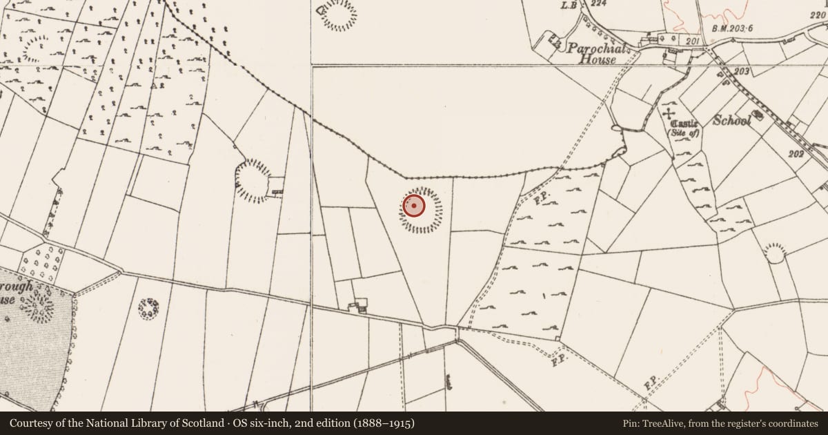Ordnance Survey six-inch map, 2nd edition (1888–1915) covering the location of Cairn - clearance cairn, Roxborough, County Roscommon, with a pin at the register's coordinates