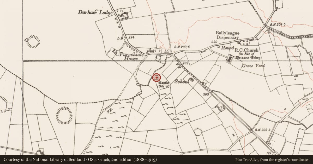 Ordnance Survey six-inch map, 2nd edition (1888–1915) covering the location of Castle - unclassified, Roxborough, County Roscommon, with a pin at the register's coordinates