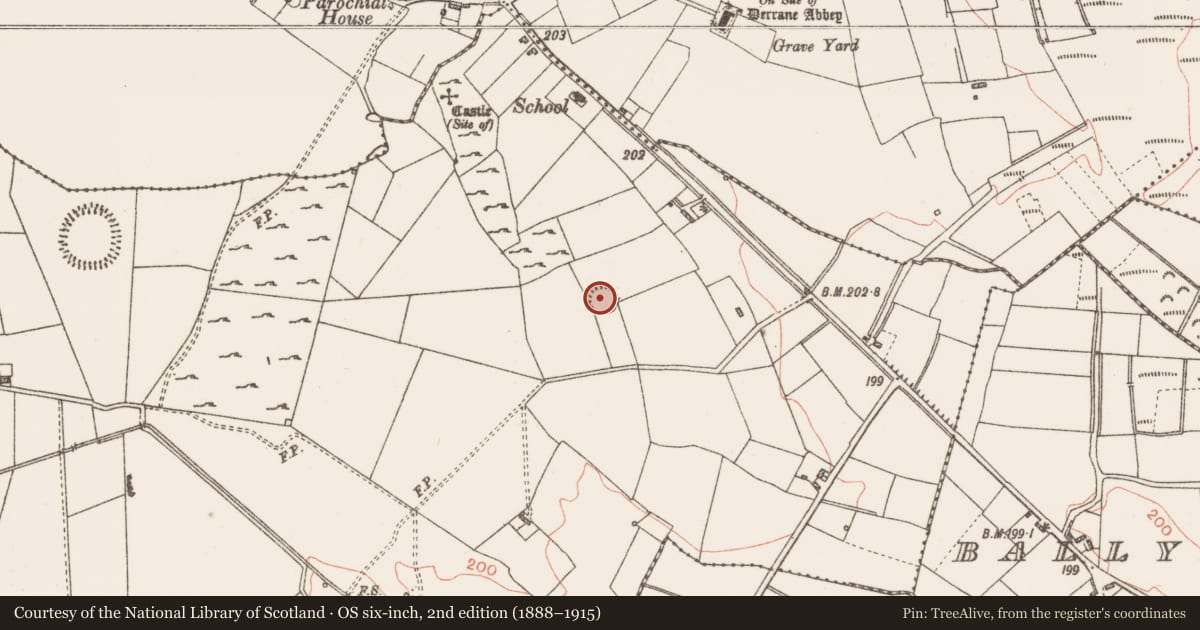 Ordnance Survey six-inch map, 2nd edition (1888–1915) covering the location of Ringfort - rath, Roxborough, County Roscommon, with a pin at the register's coordinates