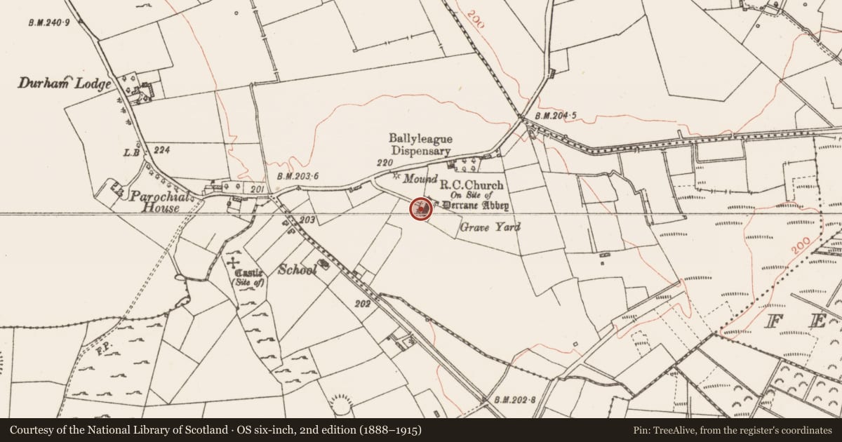 Ordnance Survey six-inch map, 2nd edition (1888–1915) covering the location of Religious house - Augustinian, of Arrouaise nuns, Derrane, County Roscommon, with a pin at the register's coordinates
