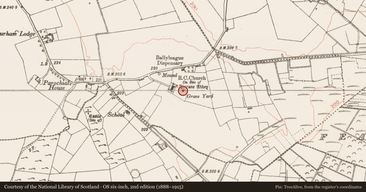 Ordnance Survey six-inch map, 2nd edition (1888–1915) covering the location of Cross - Wayside cross (present location), Derrane, County Roscommon, with a pin at the register's coordinates
