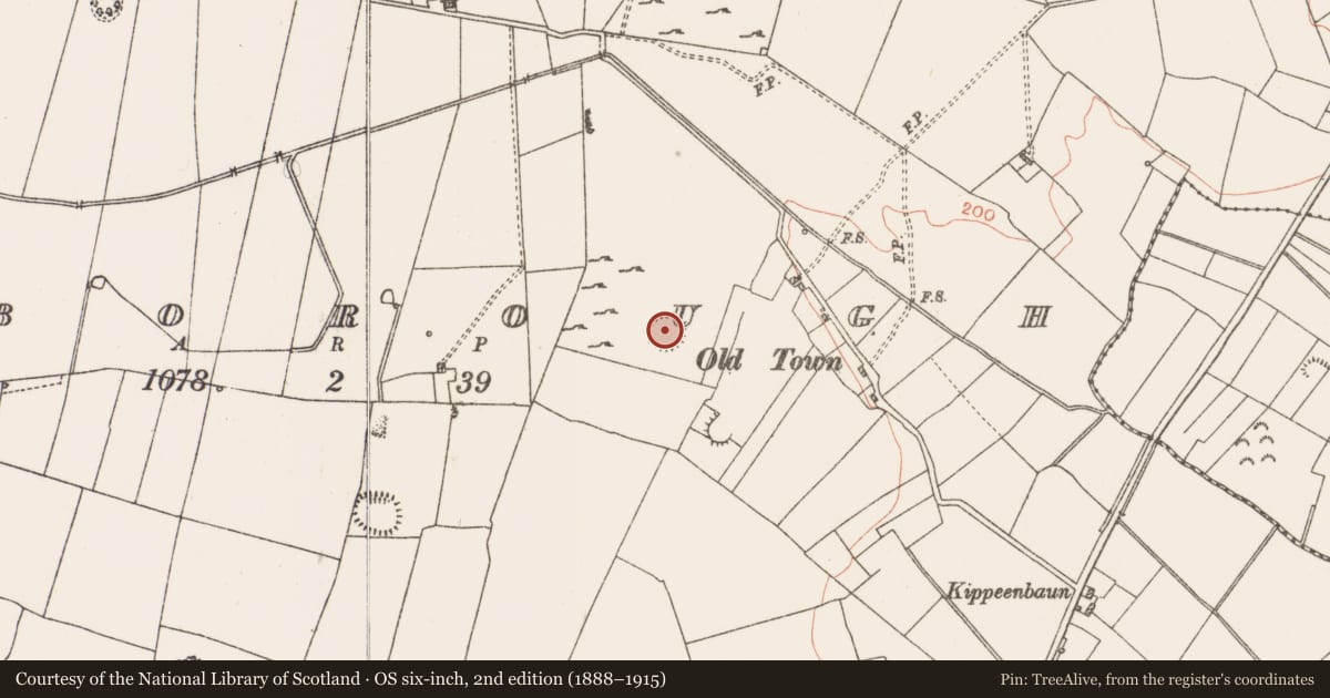 Ordnance Survey six-inch map, 2nd edition (1888–1915) covering the location of Ringfort - rath, Roxborough, County Roscommon, with a pin at the register's coordinates