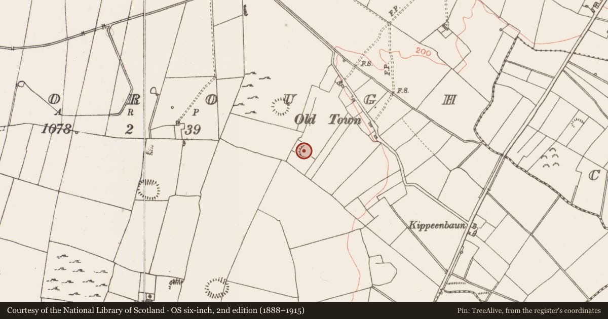 Ordnance Survey six-inch map, 2nd edition (1888–1915) covering the location of Ringfort - rath, Roxborough, County Roscommon, with a pin at the register's coordinates