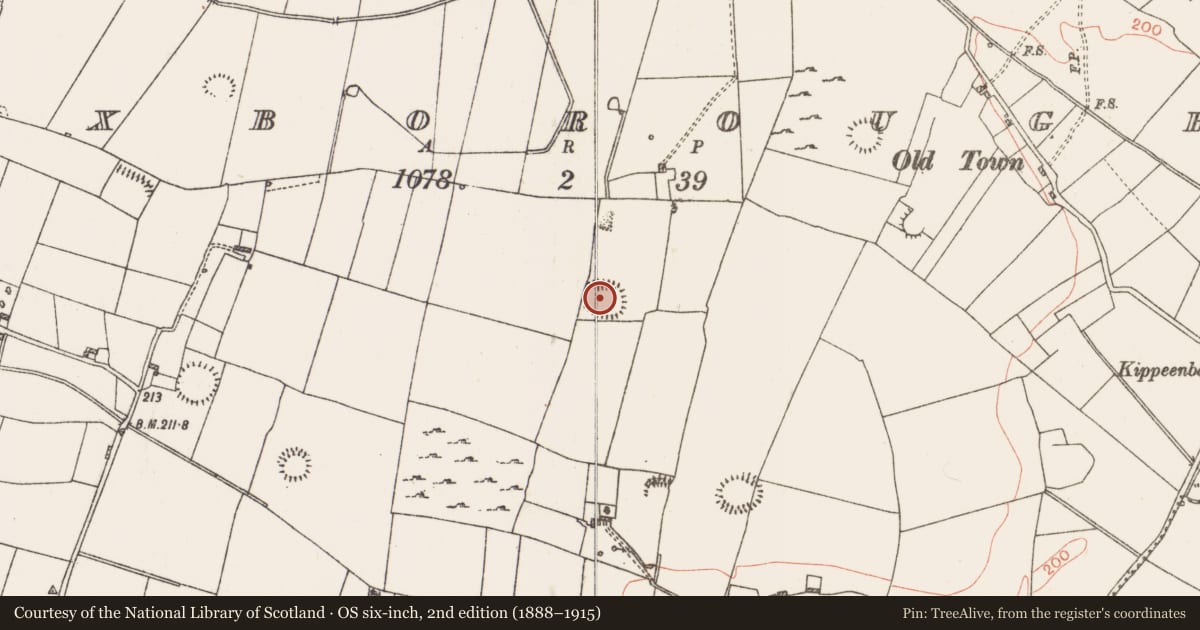 Ordnance Survey six-inch map, 2nd edition (1888–1915) covering the location of Moated site, Roxborough, County Roscommon, with a pin at the register's coordinates