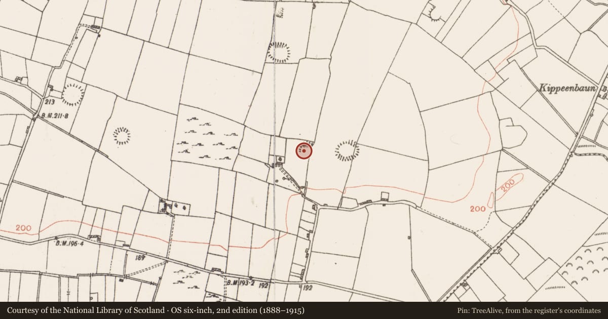 Ordnance Survey six-inch map, 2nd edition (1888–1915) covering the location of Ringfort - rath, Roxborough, County Roscommon, with a pin at the register's coordinates