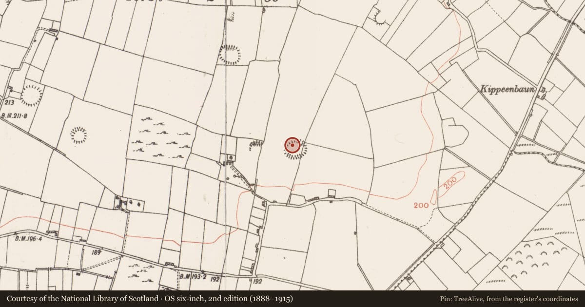 Ordnance Survey six-inch map, 2nd edition (1888–1915) covering the location of Ringfort - rath, Roxborough, County Roscommon, with a pin at the register's coordinates