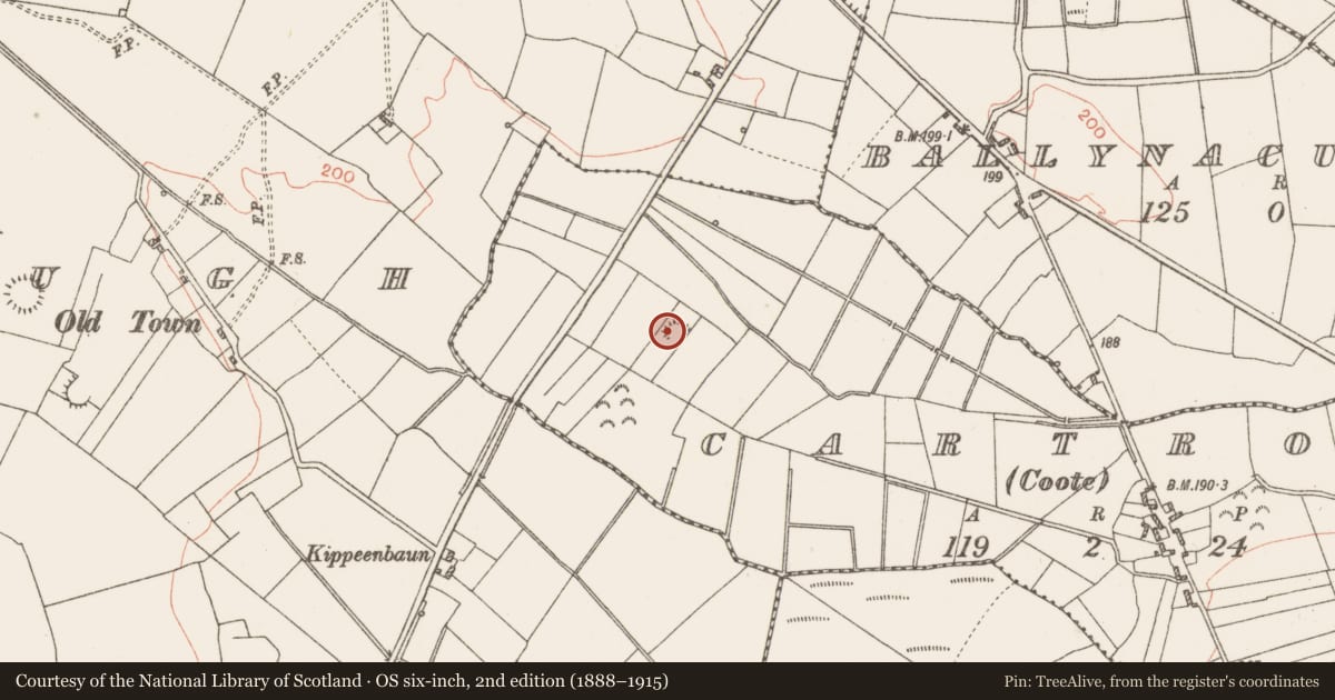 Ordnance Survey six-inch map, 2nd edition (1888–1915) covering the location of Enclosure, Cartron (Coote), County Roscommon, with a pin at the register's coordinates
