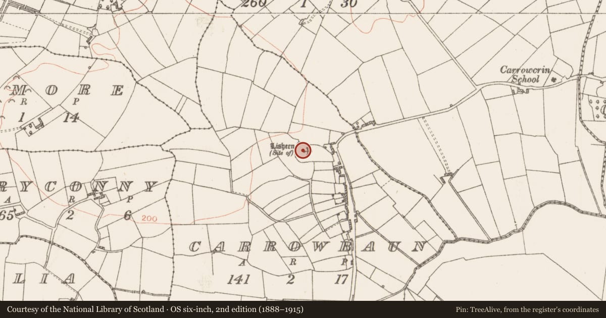 Ordnance Survey six-inch map, 2nd edition (1888–1915) covering the location of Ringfort - rath, Carrowbaun, County Roscommon, with a pin at the register's coordinates