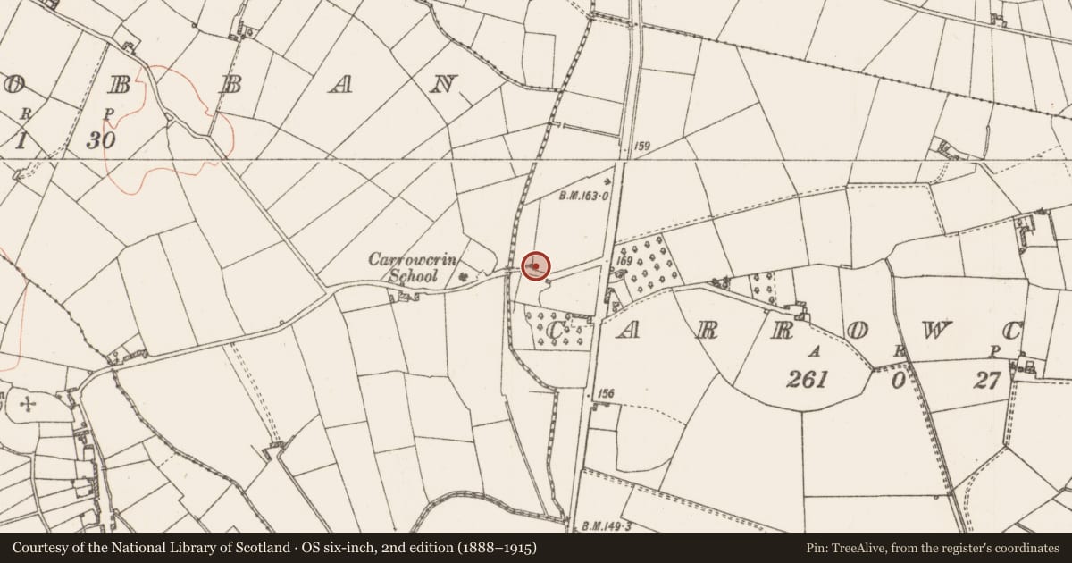 Ordnance Survey six-inch map, 2nd edition (1888–1915) covering the location of Cross - Wayside cross, Carrowcrin, County Roscommon, with a pin at the register's coordinates