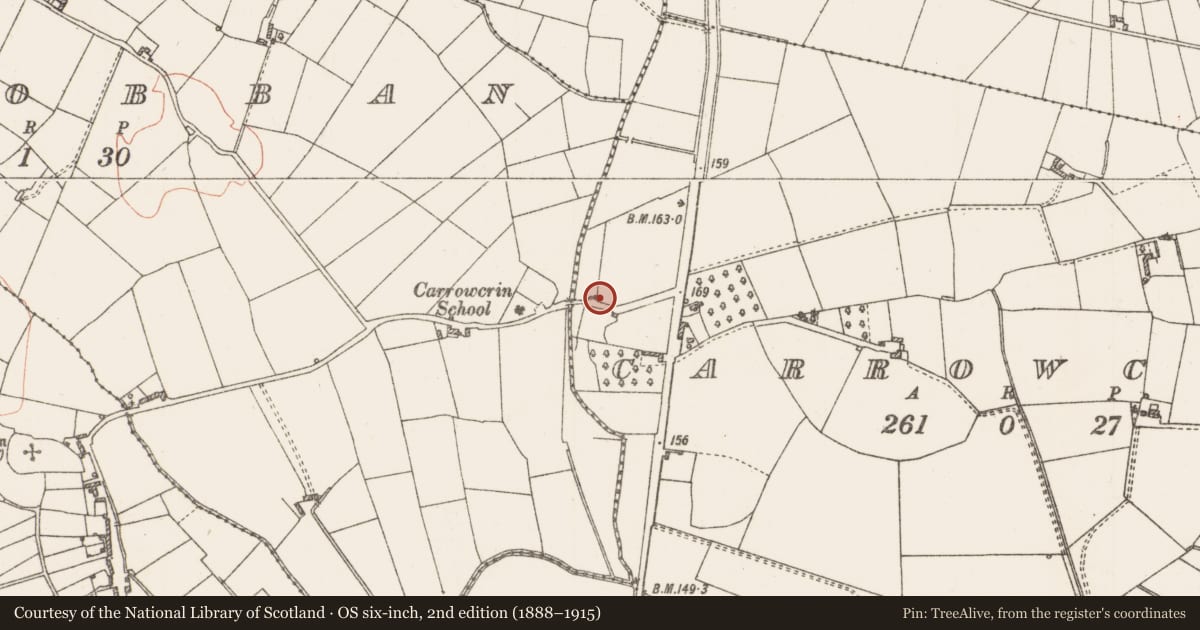 Ordnance Survey six-inch map, 2nd edition (1888–1915) covering the location of Architectural fragment, Carrowcrin, County Roscommon, with a pin at the register's coordinates
