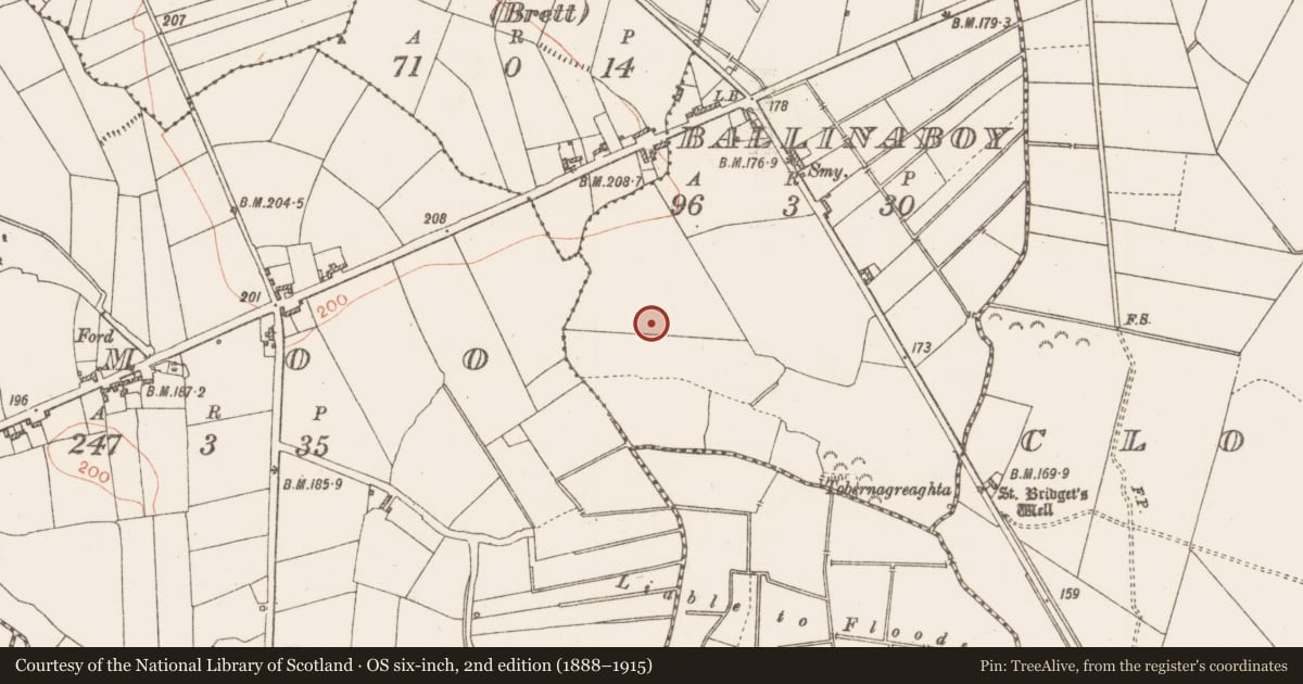Ordnance Survey six-inch map, 2nd edition (1888–1915) covering the location of Cross-slab, Ballinaboy, County Roscommon, with a pin at the register's coordinates