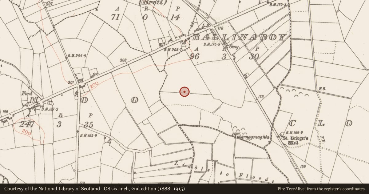 Ordnance Survey six-inch map, 2nd edition (1888–1915) covering the location of Children's burial ground, Ballinaboy, County Roscommon, with a pin at the register's coordinates