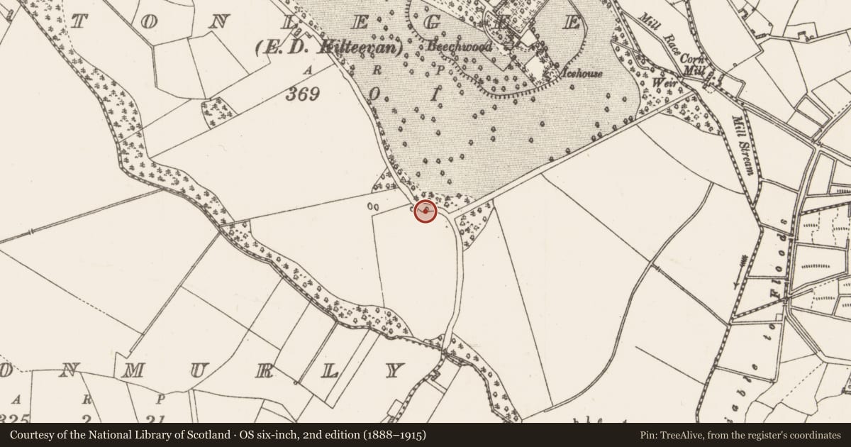 Ordnance Survey six-inch map, 2nd edition (1888–1915) covering the location of Cross - Wayside cross, Tonlegee, County Roscommon, with a pin at the register's coordinates