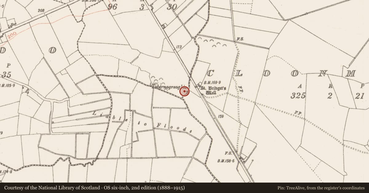 Ordnance Survey six-inch map, 2nd edition (1888–1915) covering the location of Ritual site - holy well, Ballinaboy, County Roscommon, with a pin at the register's coordinates