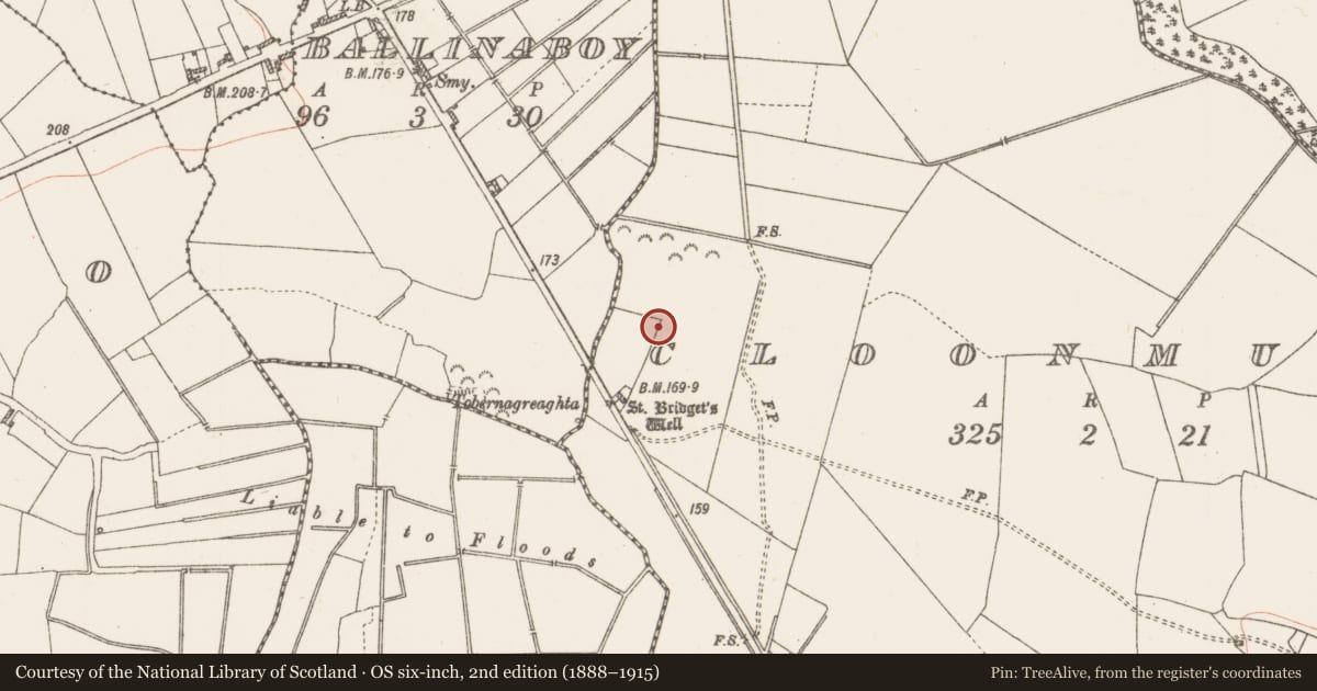 Ordnance Survey six-inch map, 2nd edition (1888–1915) covering the location of House - 18th/19th century, Cloonmurly, County Roscommon, with a pin at the register's coordinates