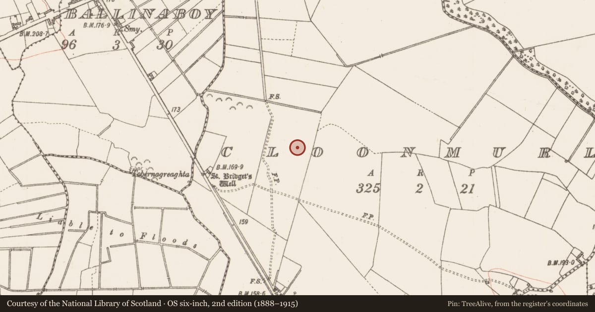 Ordnance Survey six-inch map, 2nd edition (1888–1915) covering the location of Ringfort - rath, Cloonmurly, County Roscommon, with a pin at the register's coordinates