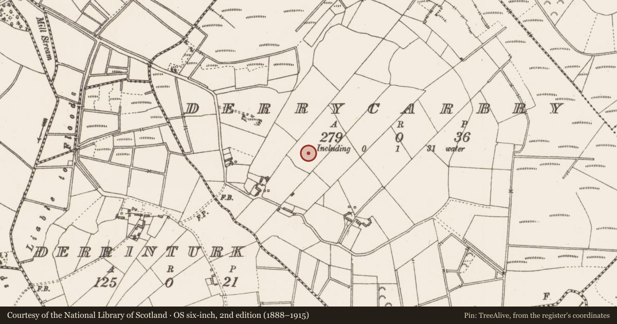 Ordnance Survey six-inch map, 2nd edition (1888–1915) covering the location of Enclosure - large enclosure, Derrycarbry, County Roscommon, with a pin at the register's coordinates