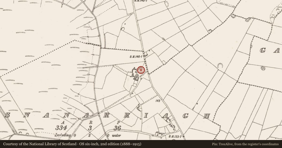 Ordnance Survey six-inch map, 2nd edition (1888–1915) covering the location of Moated site, Lisnanarriagh, County Roscommon, with a pin at the register's coordinates