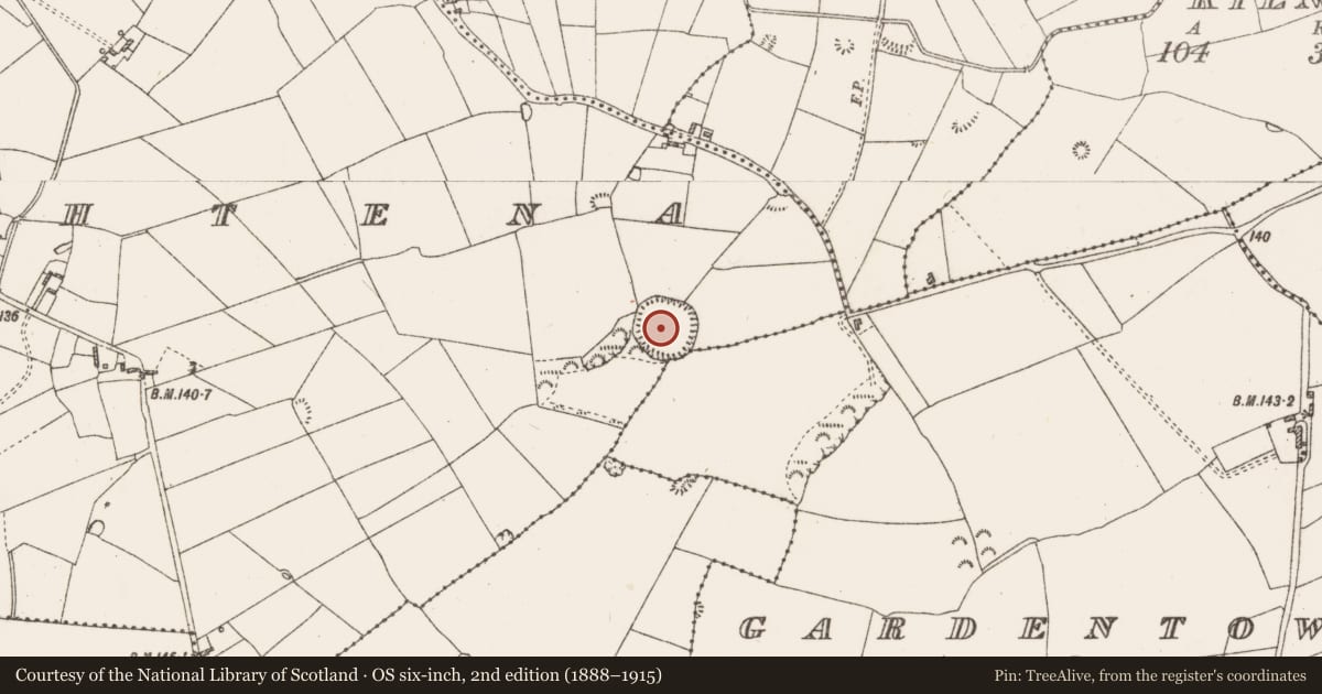 Ordnance Survey six-inch map, 2nd edition (1888–1915) covering the location of Ringfort - rath, Coolshaghtena, County Roscommon, with a pin at the register's coordinates