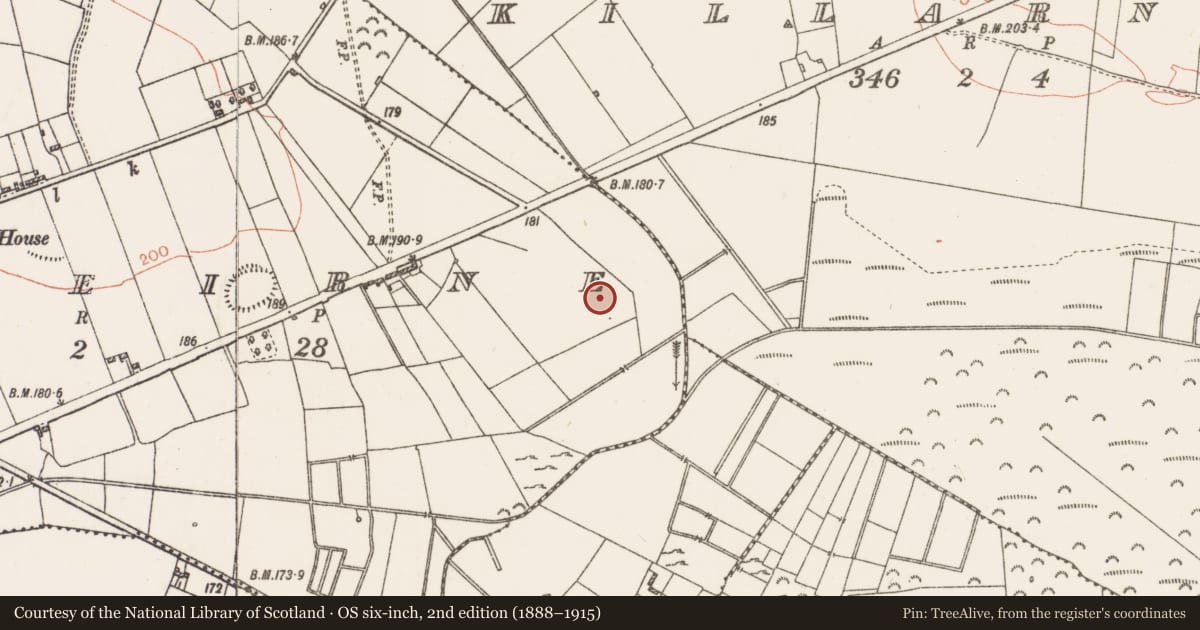 Ordnance Survey six-inch map, 2nd edition (1888–1915) covering the location of Ringfort - rath, Cloonybeirne, County Roscommon, with a pin at the register's coordinates
