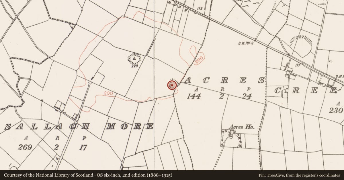 Ordnance Survey six-inch map, 2nd edition (1888–1915) covering the location of Moated site, Acres, Ardsallagh More, County Roscommon, with a pin at the register's coordinates