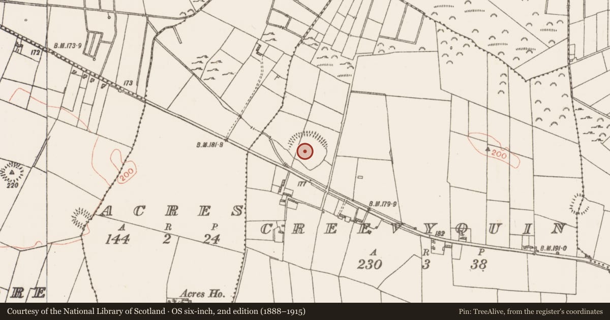 Ordnance Survey six-inch map, 2nd edition (1888–1915) covering the location of Enclosure - large enclosure, Creevyquin, County Roscommon, with a pin at the register's coordinates